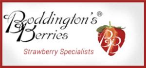BODDINGTONS BERRIES